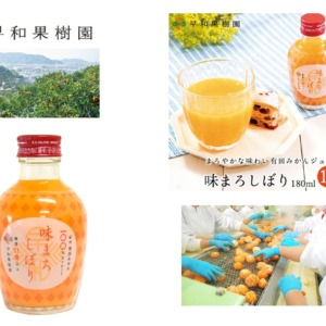 SOUWA000946