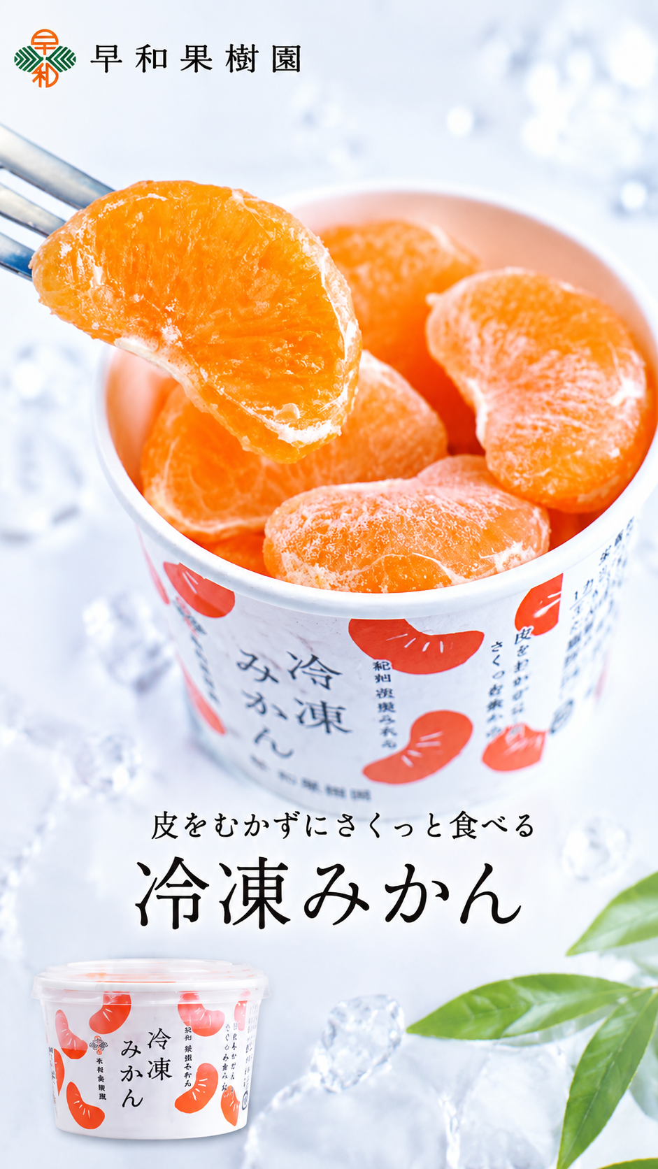 【数量限定】早和果樹園 冷凍みかん🍊